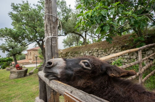 Photo 30 - Country House Villa Nigro