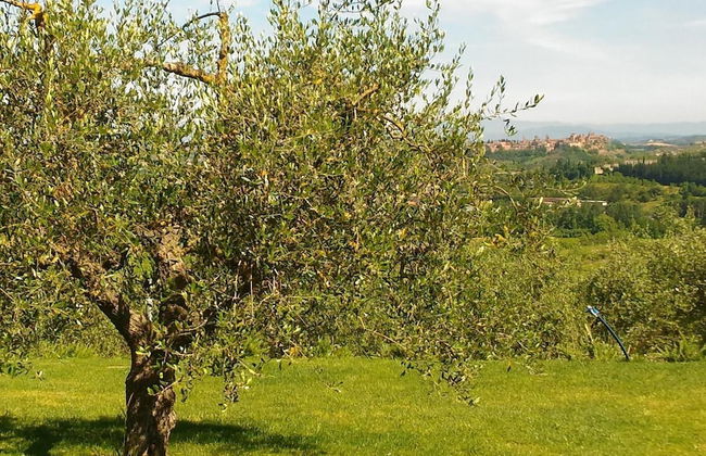 Capanna 1826 - Foto 34