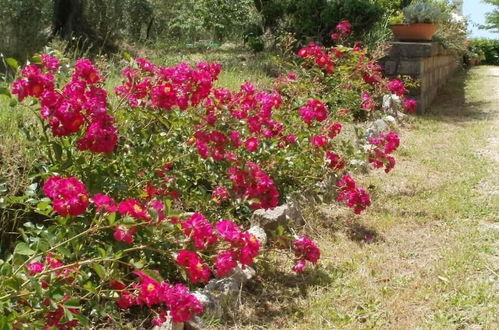 Foto 41 - Agriturismo Le Quattro Stagioni