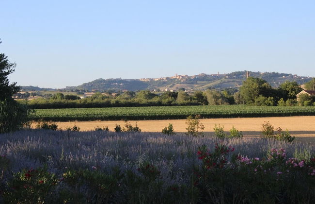 Agriturismo Bassarì - Foto 31