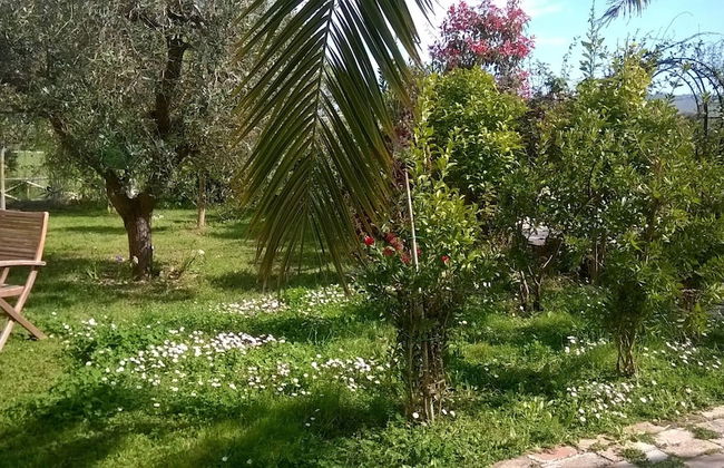Agriturismo Bassarì - Foto 30