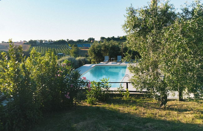 A3Passi Agriturismo tra gli Ulivi - Foto 56