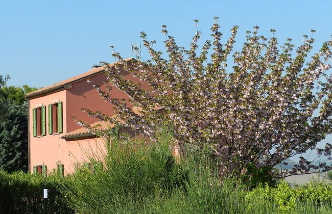 A3Passi Agriturismo tra gli Ulivi - Foto 74