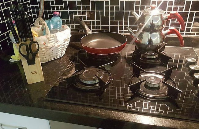 White House Residence - Foto 53