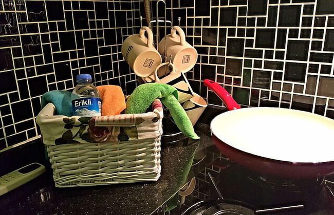 White House Residence - Foto 47