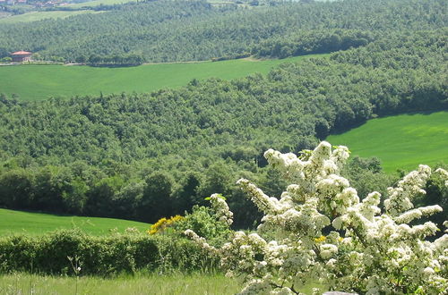 Photo 31 - L'Albero Bianco