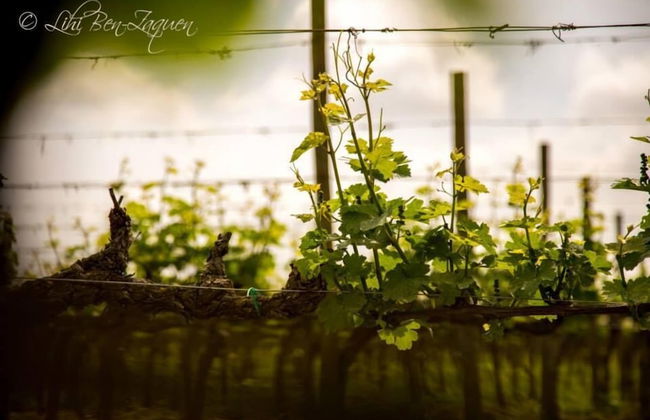 Agrisalotto - Foto 47