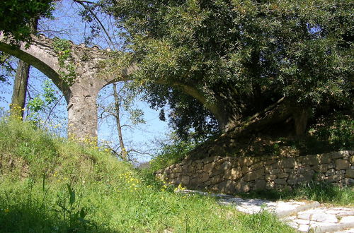 Photo 40 - Agriturismo la Torre