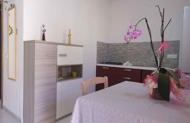 Aria di Vacanza - Zenzero - Foto 19