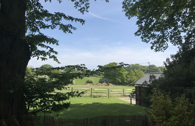 Holmdale Holiday Cottages - Foto 28