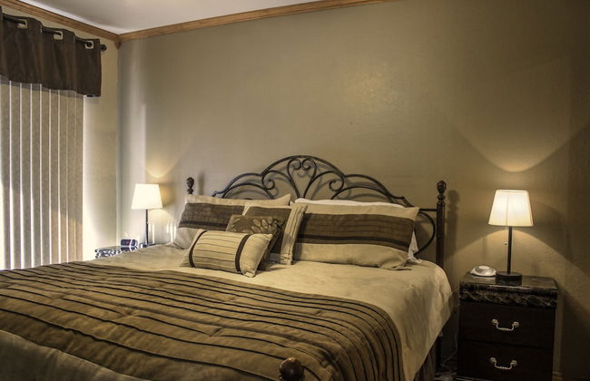 Branson Condo Resorts Silver Dollar City - Photo 17