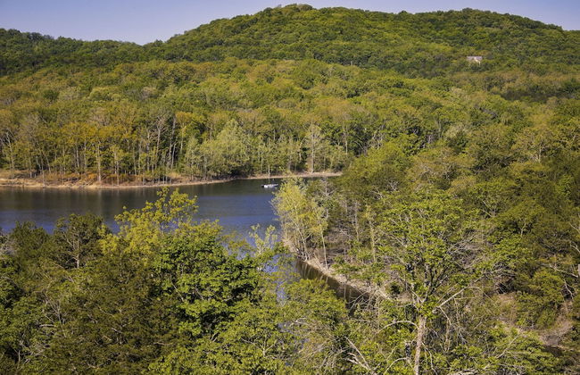 Branson Condo Resorts Silver Dollar City - Photo 42