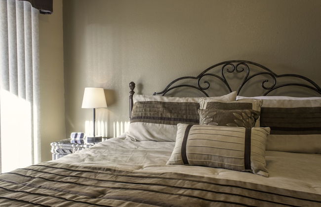 Branson Condo Resorts Silver Dollar City - Photo 11