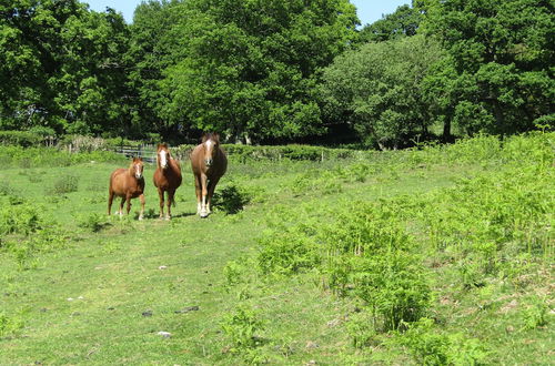 Foto 43 - Acorn Court Country House