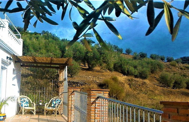 Hacienda Sol - Foto 55