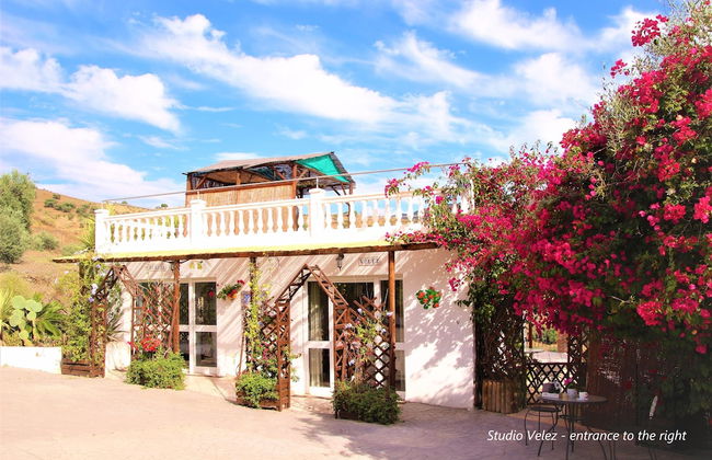 Hacienda Sol - Foto 42