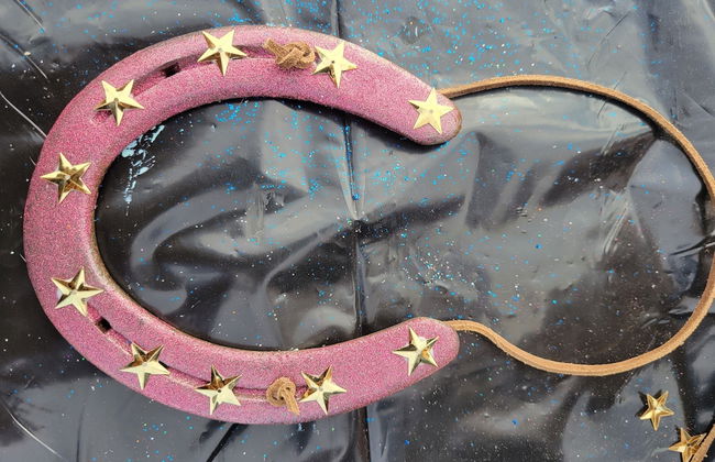 Double R Guest Ranch - Foto 22