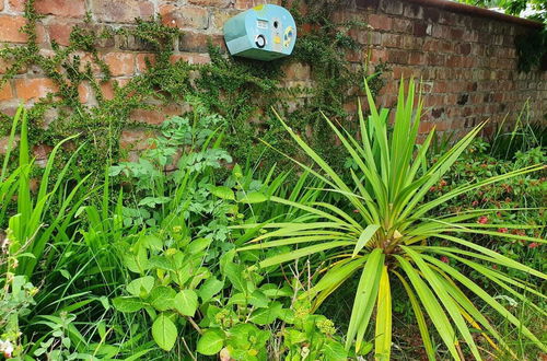 Photo 48 - Martin Lane Farm Holiday Cottages