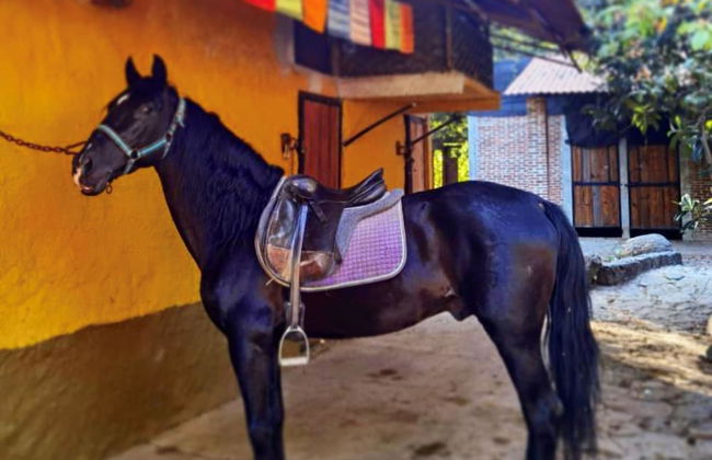 Casa LUNAH Cabalgatas y Meditación - Foto 42