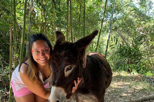 Photo 39 - Casa LUNAH Cabalgatas y Meditación