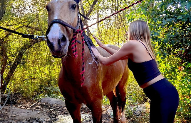 Casa LUNAH Cabalgatas y Meditación - Foto 45