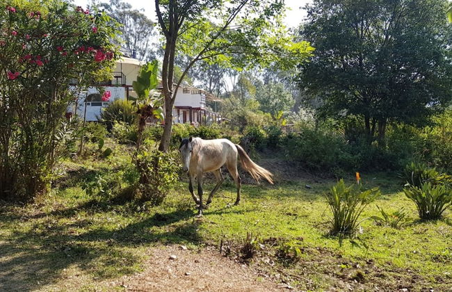Casa LUNAH Cabalgatas y Meditación - Foto 74