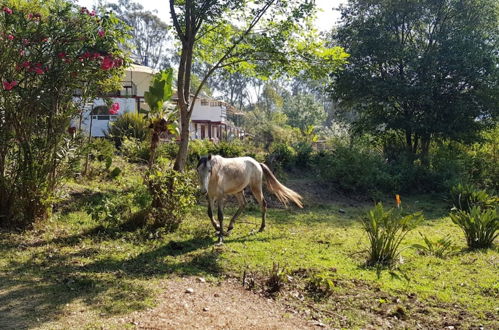 Photo 46 - Casa LUNAH Cabalgatas y Meditación