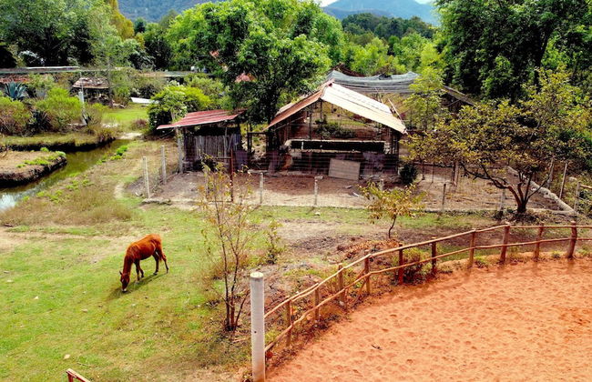 Casa LUNAH Cabalgatas y Meditación - Foto 68