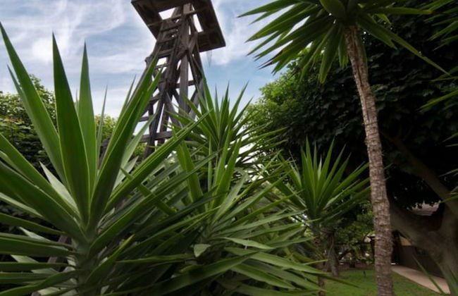 Coral Tree House - Foto 31
