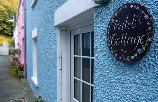 Caleb's Cottage - 4 Bed Cottage - Solva - Foto 64