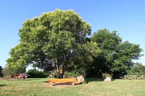 Photo 30 - Farmhouse in Sorano With Swimming Pool, Terrace, Barbecue