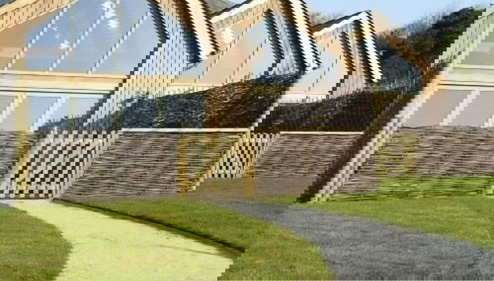 Imagem principal