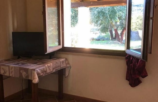 Sa Tanchitta - Foto 10