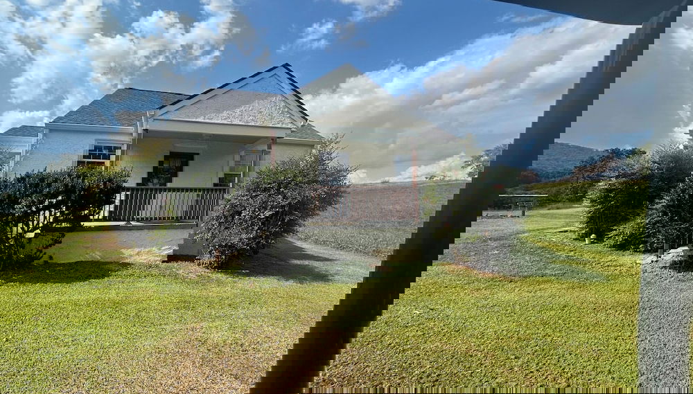 Primary image