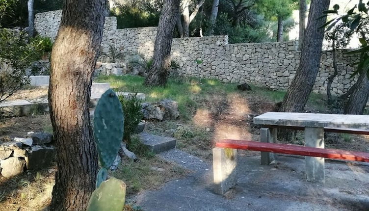 Photo 1 - Eli - for Nature Lovers - A1