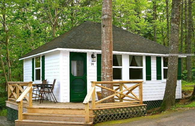 Hinckleys Dreamwood Cottages - Foto 13