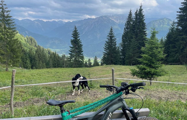 Chalet Hirschbach - Foto 67