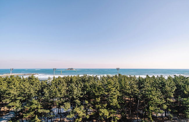 Urbanstay Sokcho Beach AB - Foto 47