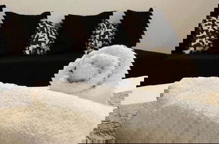 Photo 16 - Allure Athens Urban Suites