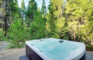 Foto 3 - Charming Cabin Near Kirkwood Ski Resort w/ Hot Tub