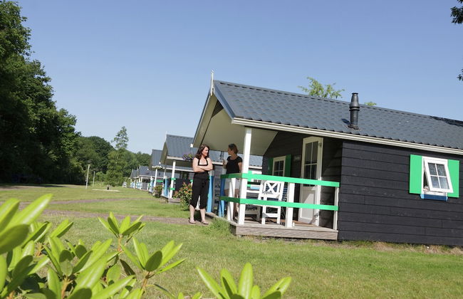 Charming Lodge in Staphorst With Pool Access - Foto 53