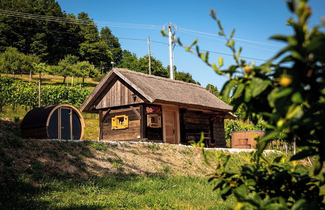 Glamping Paradise Škatlar - Foto 17