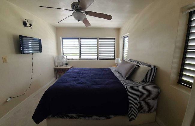 Bananaquit House - Photo 3