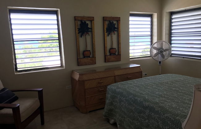 Bananaquit House - Photo 5