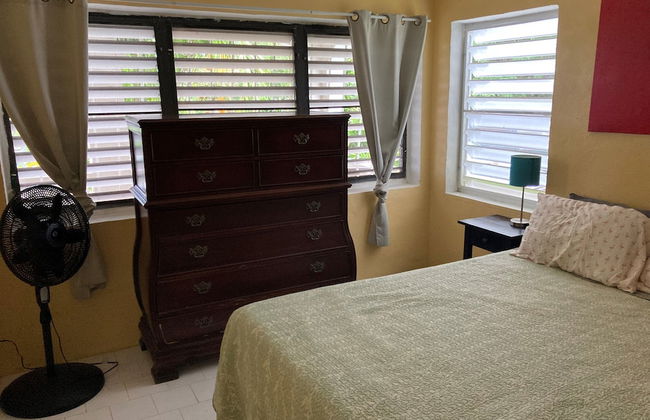 Bananaquit House - Photo 8