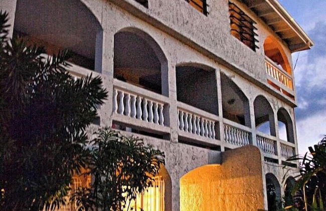 Bananaquit House - Photo 41