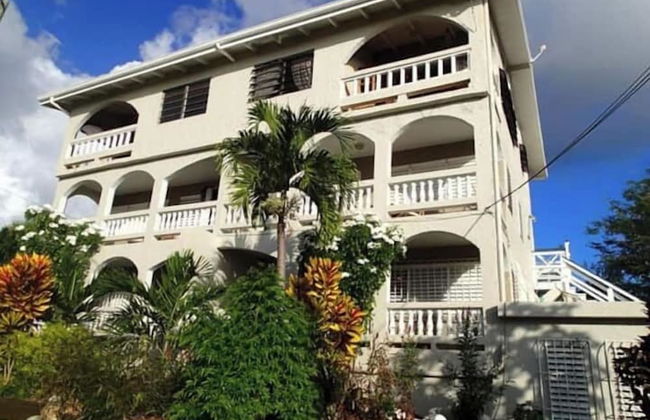 Bananaquit House - Photo 42