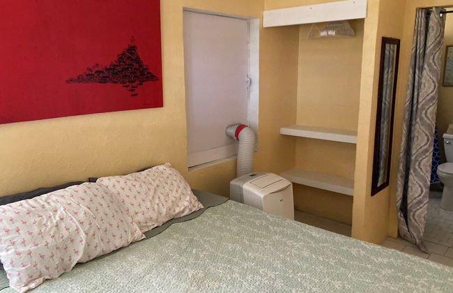 Bananaquit House - Photo 7