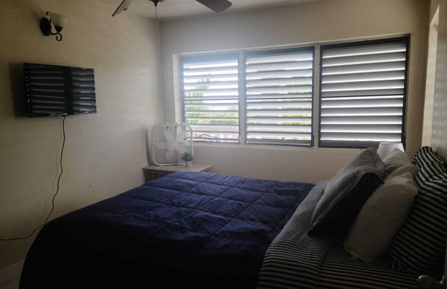 Bananaquit House - Photo 4