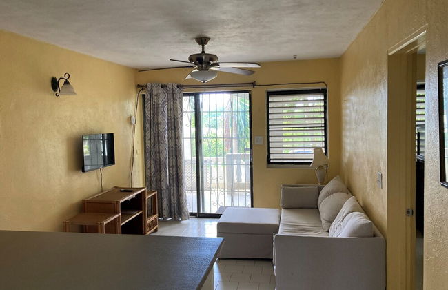 Bananaquit House - Photo 26